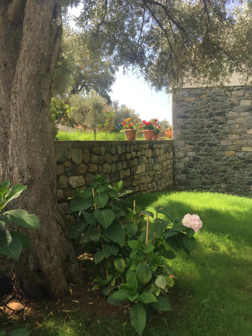 Samothraki Suites Kalisti Xiropotamos Екстер'єр фото