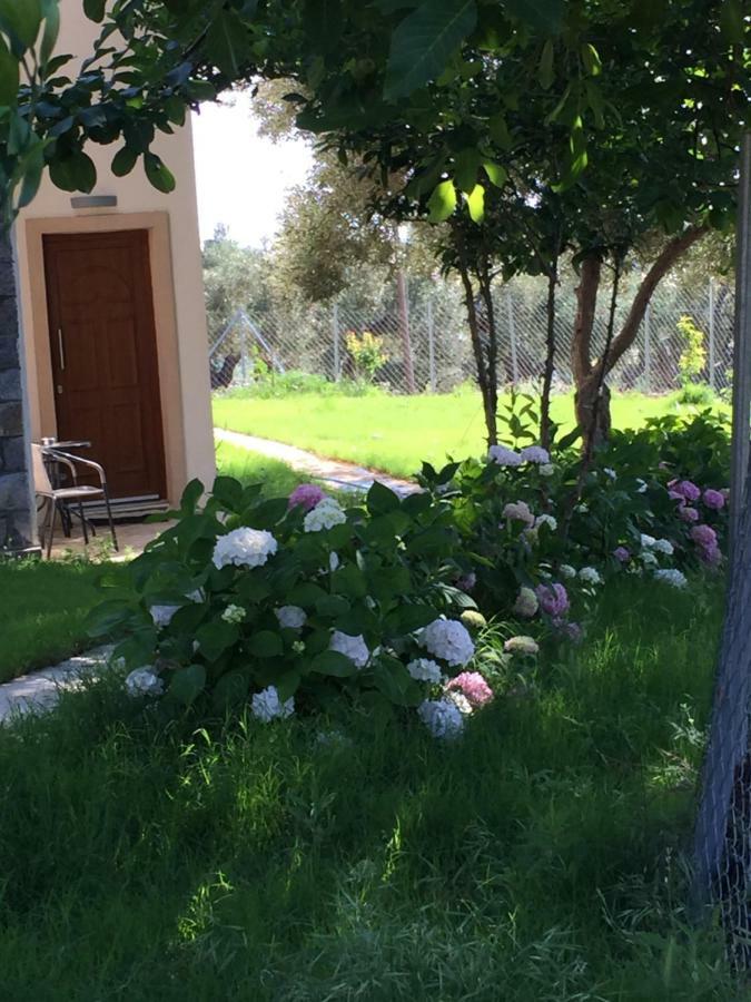 Samothraki Suites Kalisti Xiropotamos Екстер'єр фото